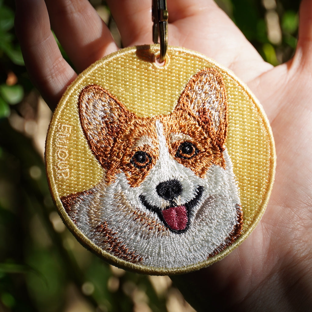 Pawdant - Corgi