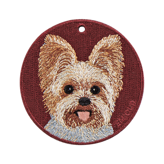 Pawdant - Yorkshire Terrier