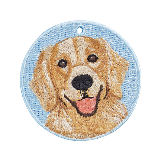 Pawdant - Golden Retriever