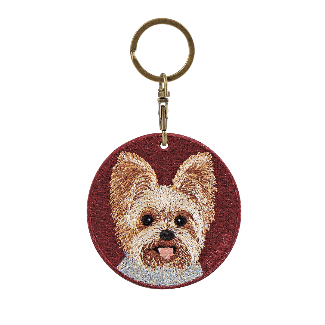 Pawdant - Yorkshire Terrier