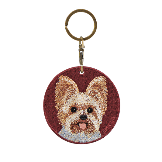 Pawdant - Yorkshire Terrier