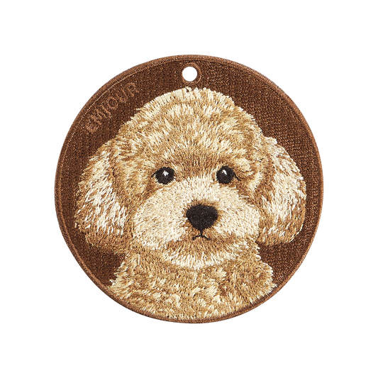 Pawdant - Toy Poodle Gold