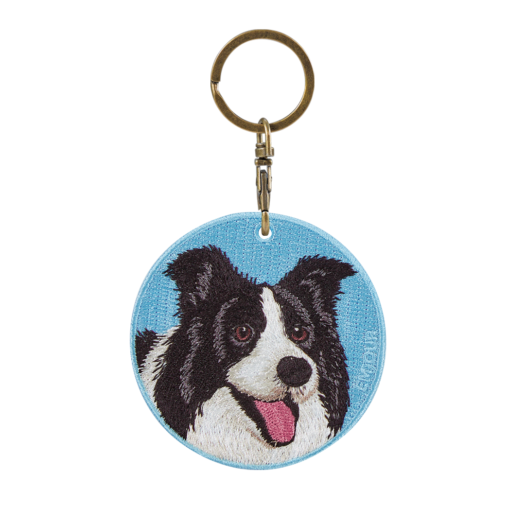 Pawdant - Border Collie