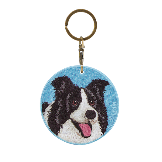 Pawdant - Border Collie