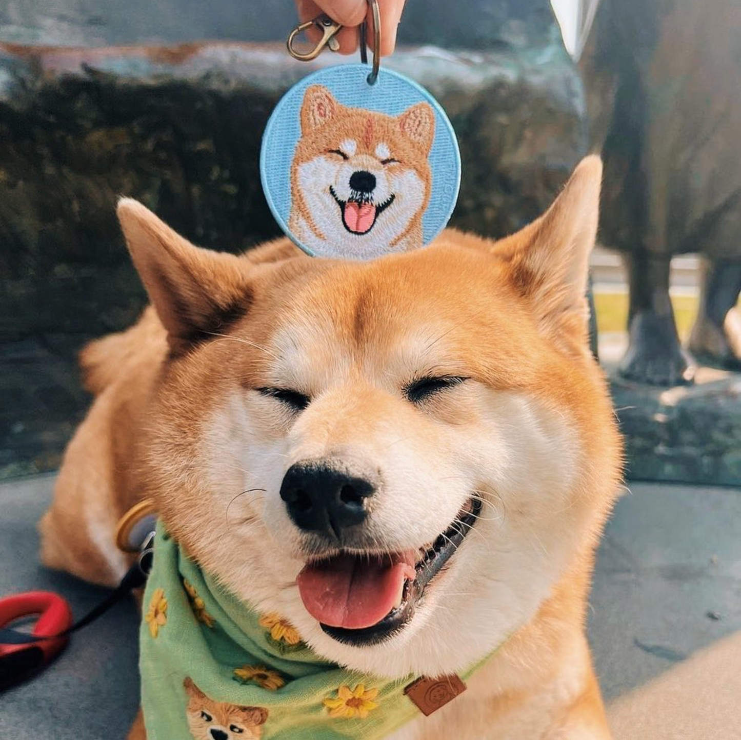 Pawdant - Shiba Inu