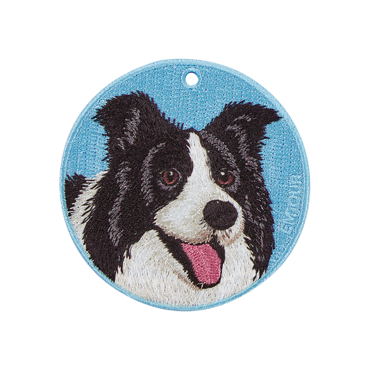 Pawdant - Border Collie