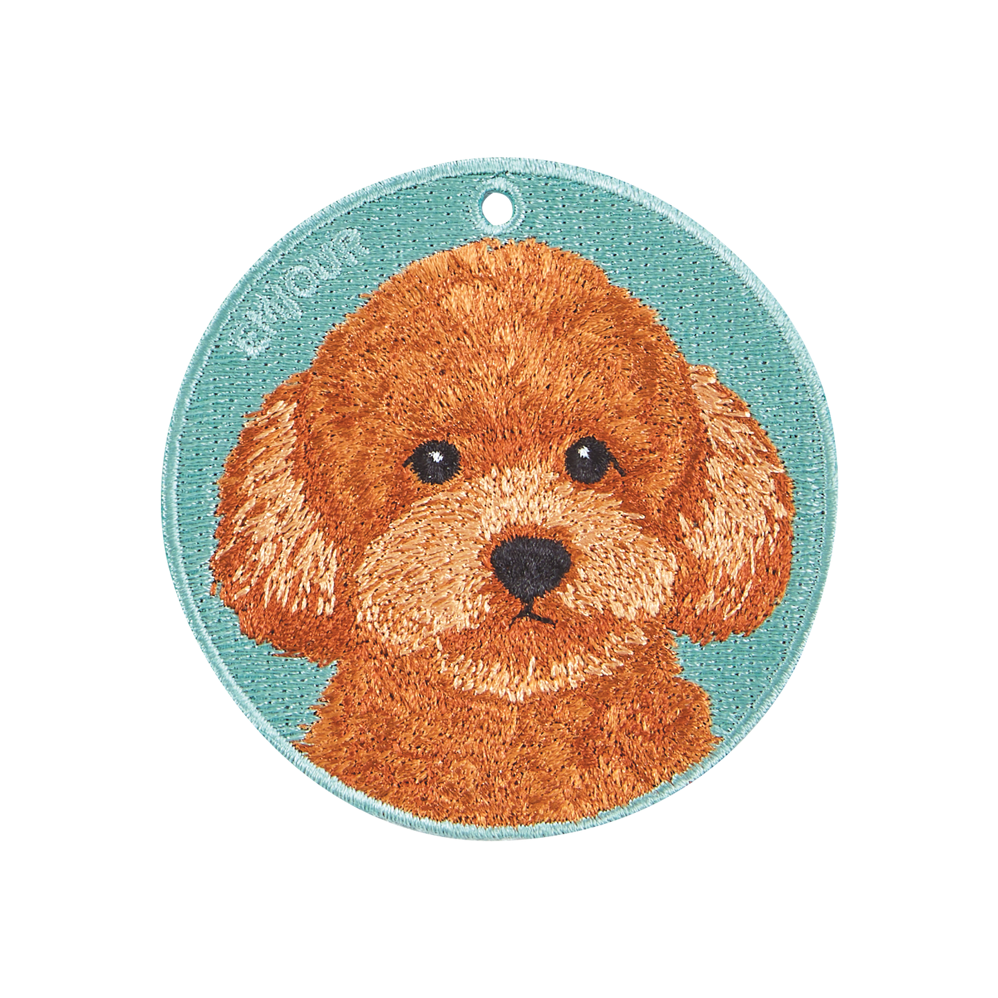 Pawdant - Toy Poodle Orange