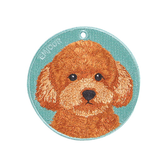 Pawdant - Toy Poodle Orange